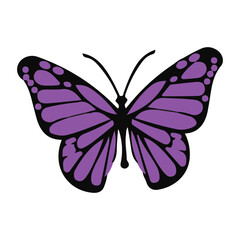 Tropical elegant butterfly with colorful wings and antennae isolated on white background. Pretty flying moth top view. Gorgeous exotic spring insect. Colored flat textured vector illustration