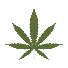 Cannabis leaf icon. Green silhouette indica sativa isolated white background. Herbal medicine herb plant. Natural weed hemp. Addiction smoke drug Illegal narcotic marijuana design Vector illustration
