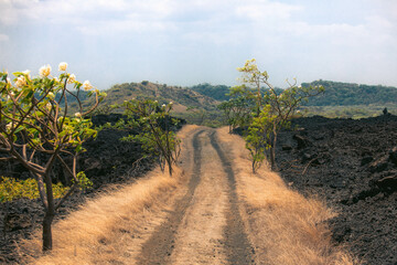A road on volcan Santiago,Nicaragua