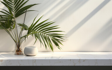 Obraz premium Background for luxury organic cosmetic, skin care, and beauty treatment product display in modern basic white marble stone counter table top with bamboo palm tree in sunlight and leaf shadow on wall 
