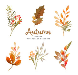 Autumn bouquets arrangements of leaves, branches and berries. Fall floral watercolor elements. Vector illustration