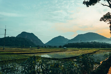 Obraz premium natural scenery in Indonesia with a view of mountains, hills, rice fields which are very green and sunset in the afternoon