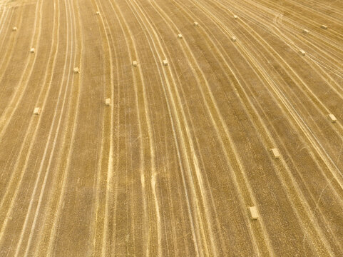 vue a&eacute;rienne d'un champs de bl&eacute; m&ucirc;r au moment de la moisson photographi&eacute; avec un drone. Symbole de l'agriculture et du monde rural