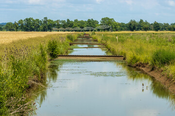 C&eacute;r&eacute;ales, Bl&eacute;.