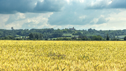 C&eacute;r&eacute;ales, Bl&eacute;.