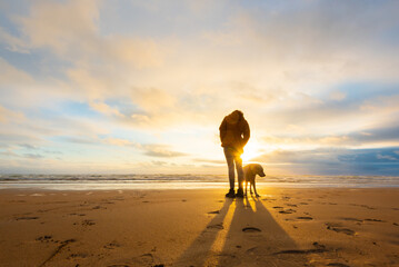 Women on a sandy beach at sunset with blue sky and purebred labrador retriever 