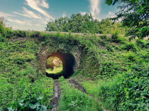 Old railway tunnel under the railway, overgrown with grass and moss