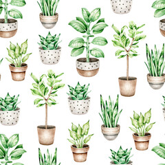 plants in pots pattern