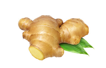 生姜のイラスト リアル セット