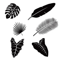 set of summer leaf silhouette design. tropical plant leaves sign and symbol.