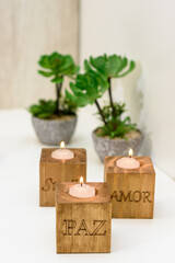 Porta velas de madera con inscripciones de Paz y Amor con plantas decorativas al fondo. Adornos para el hogar. Fotografía con desenfoque.