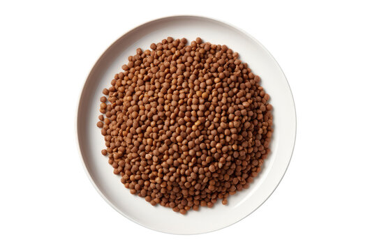 Cat Food Plate As Seen From Above On Isolated Transparent Background, Png. Generative AI
