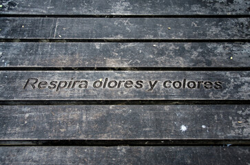 Respira olores y colores