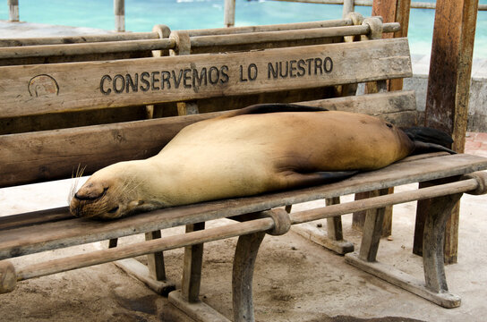 Conservemos lo nuestro