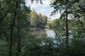 Landscape with a river and trees in the forest in summer, Russia