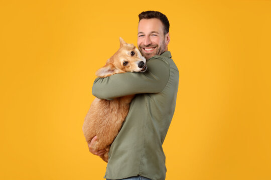 Happy European Man Holding And Comforting Cute Corgi Dog, Smiling At Camera, Posing With Pet Over Yellow Studio Background