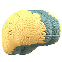 3d illustration of brain with high quality render
