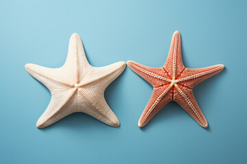 Fototapeta na wymiar white and red starfish on blue background