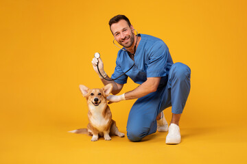Checking the breath. Male veterinarian in work uniform listening to the breath of a small dog with...