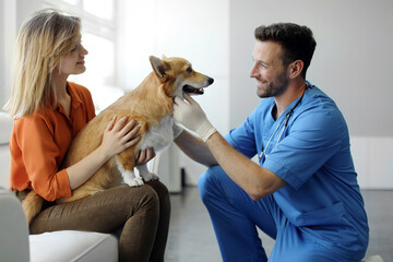 Cute corgi dog being examined at the clinic, doctor checking pet's teeth during checkup. Veterinary...
