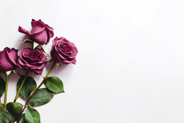 A bunch of purple roses sitting on top of a white surface. Generative AI.