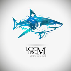 blue shark object. Vector illustration