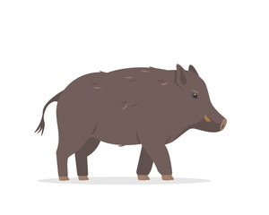 Wild boar icon. Standing brown forest animal. Flat vector Boar or wild pig illustration isolated on white background.