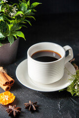 front view cup of coffee with green plant on a dark background tea pressure drink hot seeds brown cocoa flower