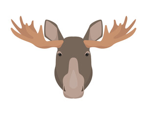 Fototapeta na wymiar Moose bull or Elk head. Brown wild forest animal elk face with big horns. Flat vector moose icon illustration isolated on white background.