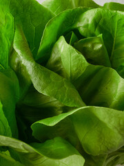 Overhead view of green lettuce leaves background with water drops