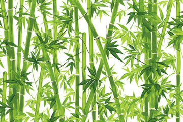Obraz premium Serene Green Bamboo Background