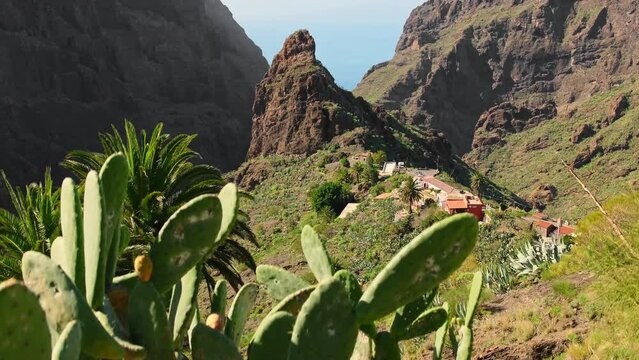 Landscape of the Masca valley in Tenerife, Canary island, Spain