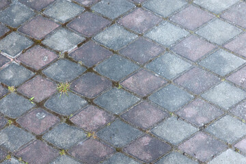 Fragment of pavement covered with old segoro and burgundy paving slabs. Small islands of grass break through the seams. Background. Texture.