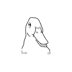 vector illustration of a duck's head