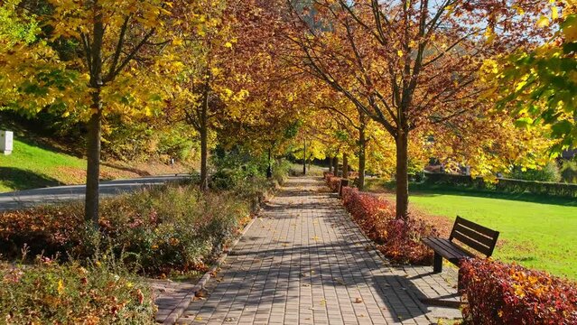 POV walk through the beautiful park in autumn