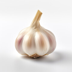 Single picture of large fresh garlic bulb