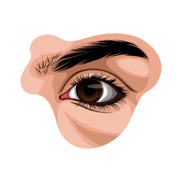 vector female eye illustration