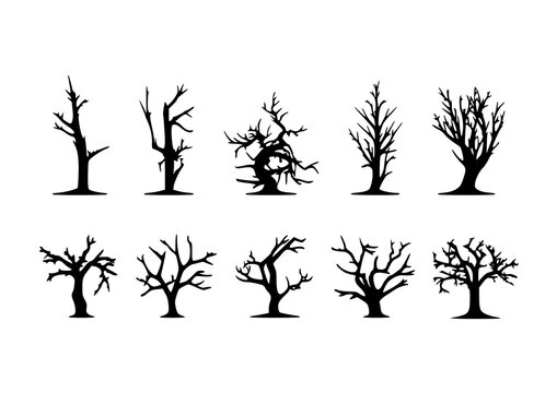 Dead tree black silhouette set transparent vector illustration