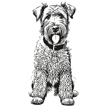 recommend clip art: Airedale Terrier dog realistic pet illustration, hand drawing face black and white vector realistic breed pet