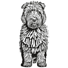 Black Russian Terrier dog outline pencil drawing artwork, black character on white background sketch drawing