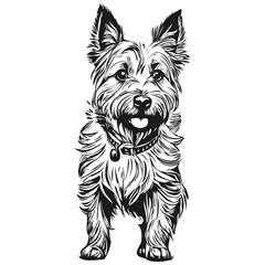 Cairn Terrier dog silhouette pet character, clip art vector pets drawing black and white realistic pet silhouette