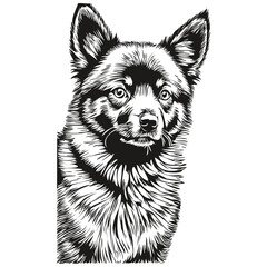 Fototapeta premium Schipperke dog ink sketch drawing, vintage tattoo or t shirt print black and white vector sketch drawing