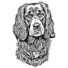 Spaniel English Cocker dog cartoon face ink portrait, black and white sketch drawing, tshirt print