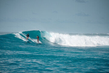 Two Surfer girls on long boards on perfect blue aquamarine wave together, party wave, empty line up, perfect for surfing, clean water, Indian Ocean, Maldives