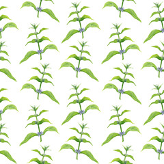 seamless pattern with forest plants on a white background.