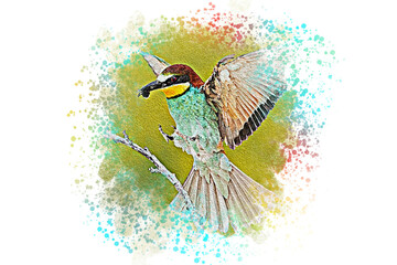 Grafika z ptakami