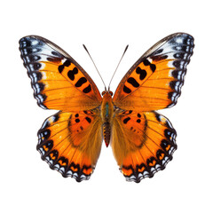 Butterfly isolated on transparent background. Generative ai