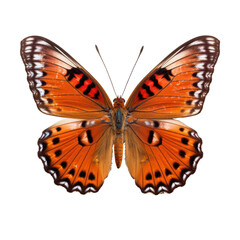 Obraz premium Butterfly isolated on transparent background. Generative ai