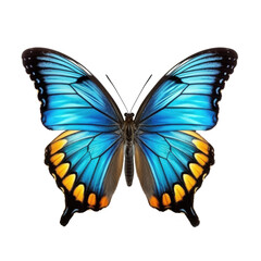 Butterfly isolated on transparent background. Generative ai