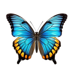 Obraz premium Butterfly isolated on transparent background. Generative ai